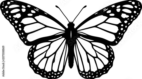 Tableau sur toile Butterfly Silhouette On White Background Detailed Wing Pattern