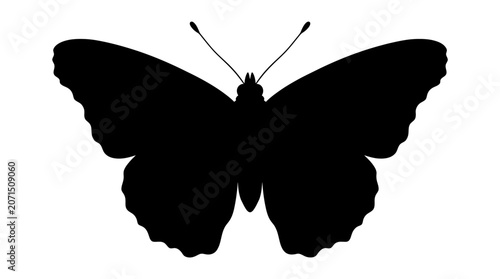 Photos Butterfly Silhouette Against A White Background Minimalist Insect Shape