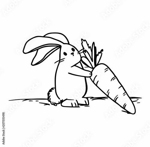 rabbit in the garden