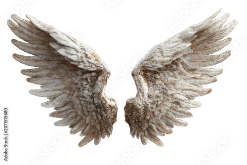 Ethereal angel wings in a celestial display isolated on transparent background. Pair of eagle wings spread wide in flight isolated on white background.