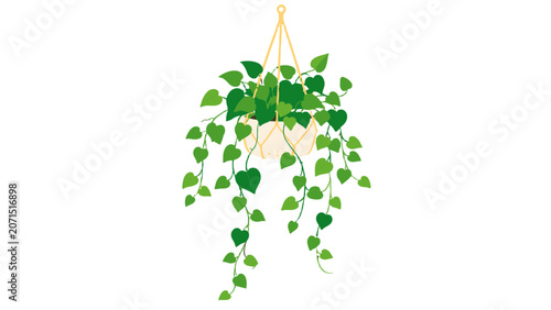 Schilderij op canvas Hanging green vine plant in woven basket vector illustration
