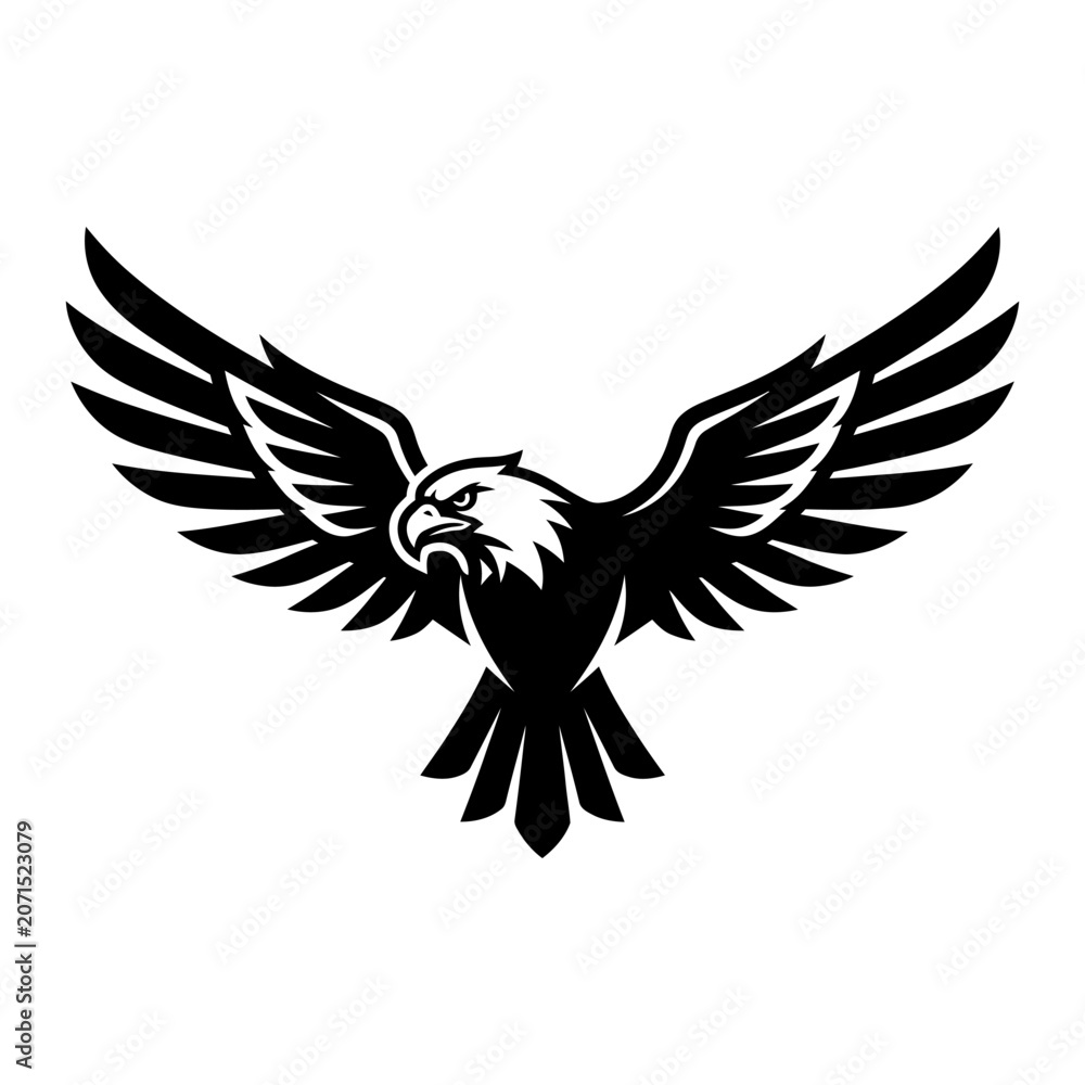 Fototapeta premium Black and white eagle illustration flying 1.