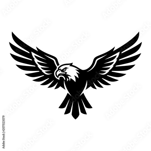 Black and white eagle illustration flying 1.