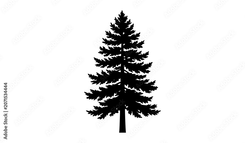 Fototapeta premium Pine Tree Black Silhouette Vector Illustration Isolated on White Background