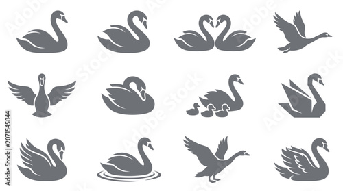 Illustration of various swans and goose in different poses and actions on white background