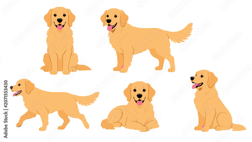 Fototapeta premium Golden retriever dog breed set in multiple cartoon poses