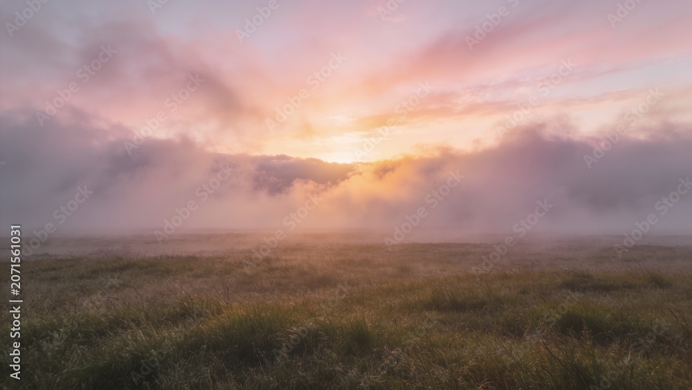 Obraz premium Bathing glowing horizon light piercing low fog bank over grassy meadow, showing dew on blades