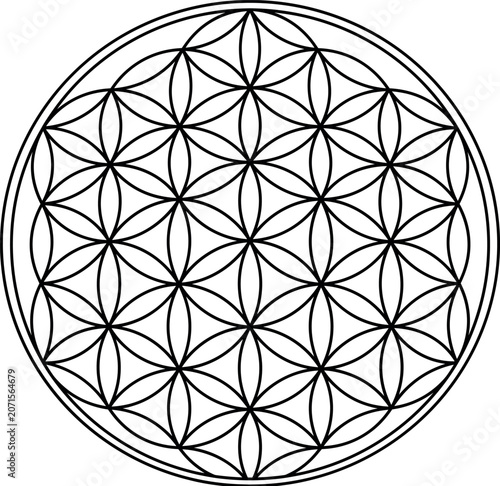 Flower of Life Sacred Geometry Pattern, Black and White Mandala Line Art Vector Illustration