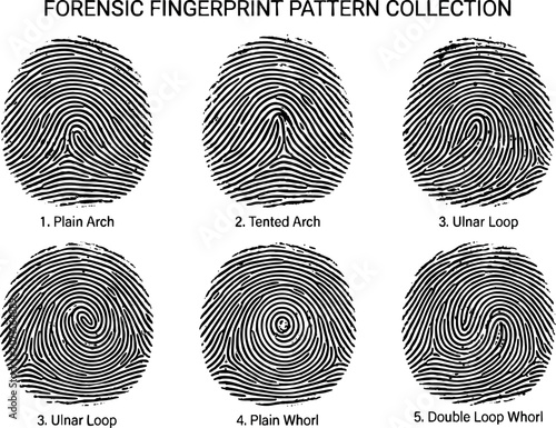 Forensic Fingerprint Pattern Collection — Plain Arch Tented Arch Ulnar Loop Plain Whorl Double Loop Whorl Black Ink Biometric Identity Set