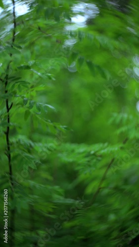 Abstract forest bokeh background with soft motion. Vertical footage