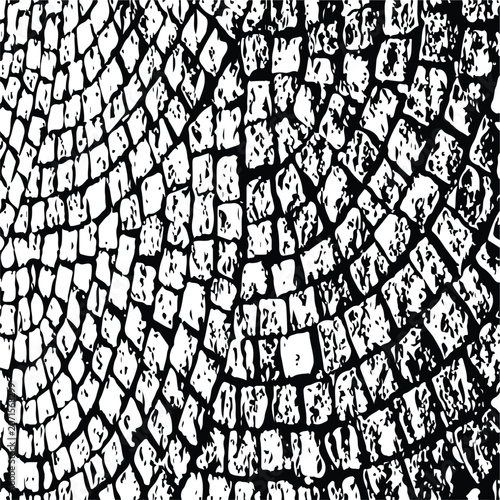 Photos Black-Grunge-Texture-Background-For-Distressed-Design-Projects

Title 2 (Normal