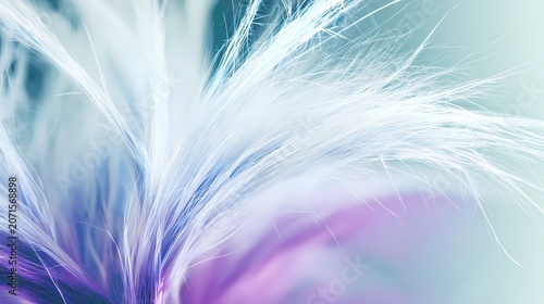 Abstract Blue and Purple Glowing Light Fiber Swirl Texture on Dark Black Background