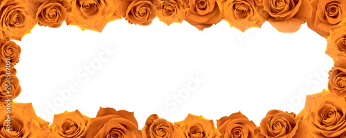 Orange Rose Floral Frame Border Isolated on Transparent Background
