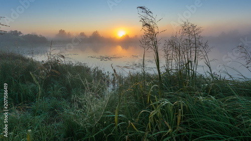 Fotografie A serene sunrise over a misty lake, with golden light reflecting on water, frame