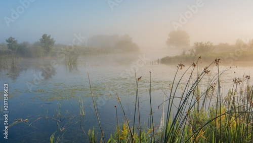 Cuadro en lienzo A serene morning landscape featuring a calm river shrouded in thick fog, with ta