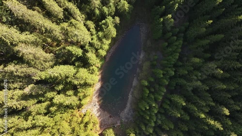 Blue mountain lake among pine trees. Picturesque nature of the Ukrainian Carpathians