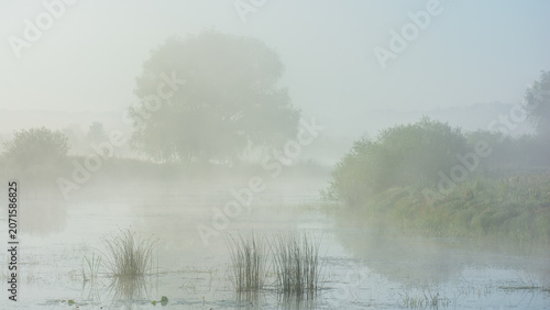 Fényképezés A serene morning landscape featuring a thick white fog over a calm river, with b