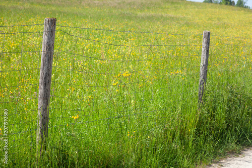 Weidenzaun mit Blumenwiese, Bayern, Oberbayern, Deutschland