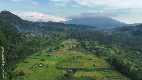 Cinematic Drone View of Lush Rice Terraces in Sidemen, Bali