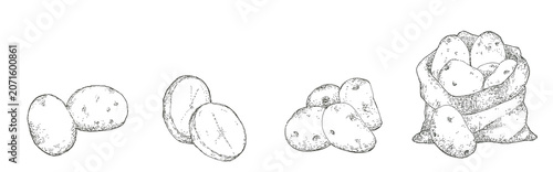 Foto ジャガイモの手描きイラスト