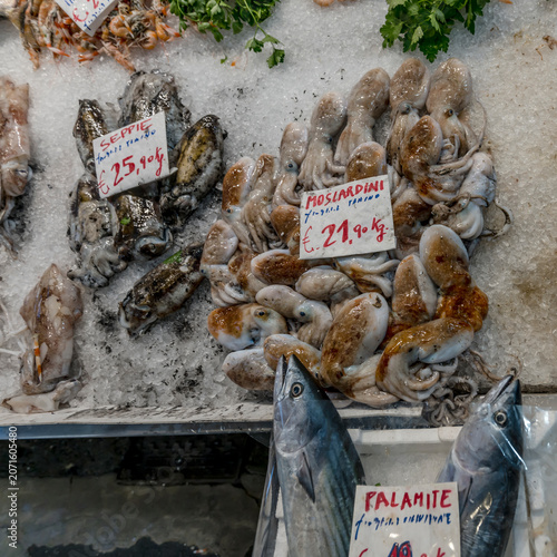 Photos sale of musky octopusses on ice at stall of Porta Orientale market  in central d