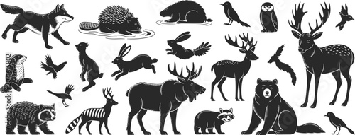 Forest Wildlife Silhouettes: A collection of black silhouettes of various wild animals, including a fox, beaver, owl, deer, bear, and rabbit, in a natural woodland setting.