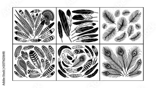Vector illustration set of hand drawn bird feathers including peacock turkey and quail in black and white engraving style