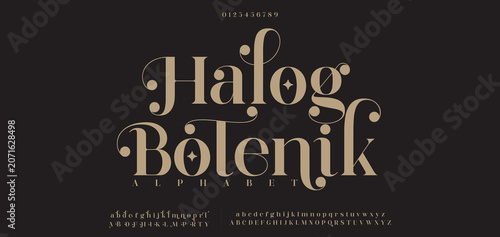 Cuadro en lienzo Halog Botenik Beauty Luxury font alphabet logo