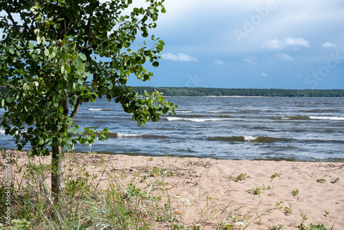 Fotografia Zheltaya Bay at Yellow Bay on the Gulf of Finland