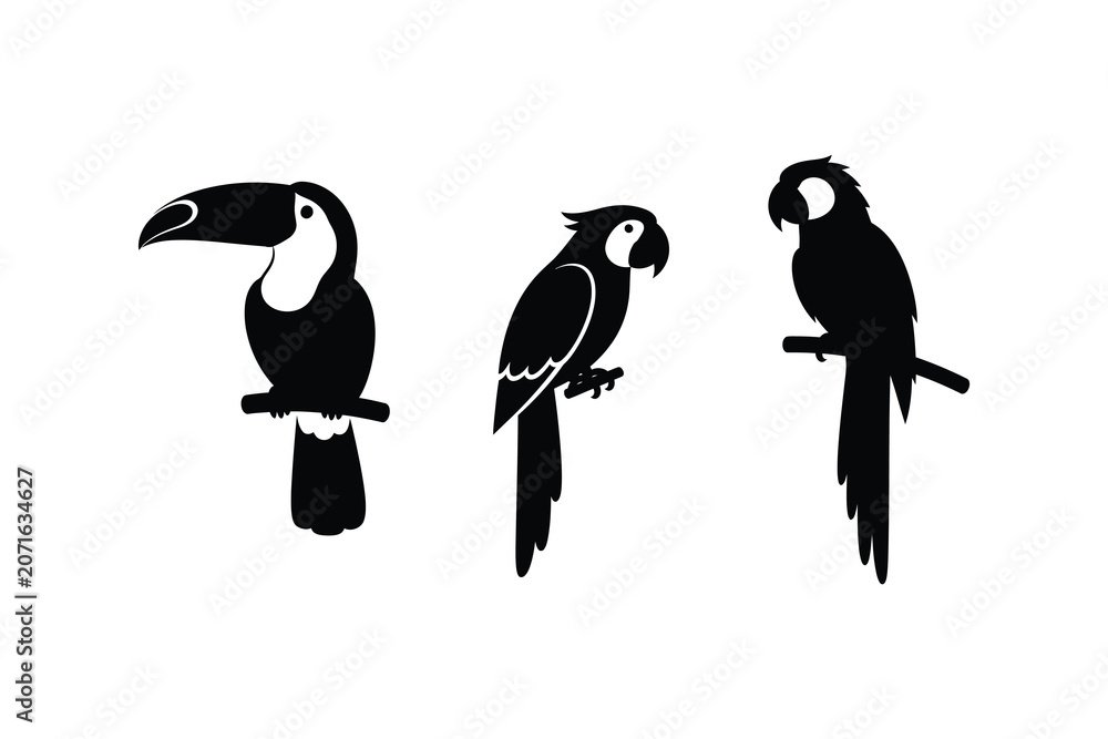 Obraz premium Tropical Bird Silhouettes Toucan and Parrots Set