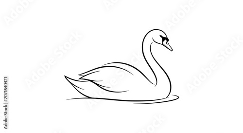 Bild auf Leinwand heron illustration, long legged bird, shorebird, black and white heron, wading b