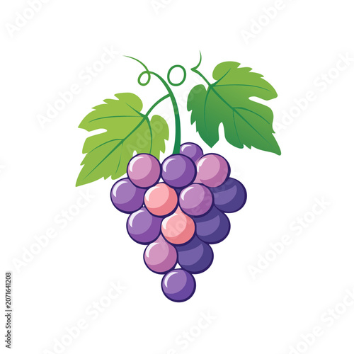 Purple grape cluster with green leaves vector illustration