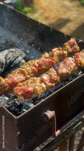 Outdoor Barbecue: Grilling Juicy Meat Shashlik on Skewer Over Open Fire