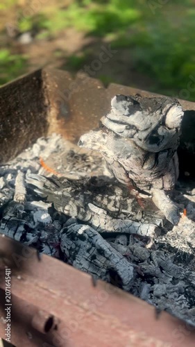 Outdoor Barbecue: Grilling Juicy Meat Shashlik on Skewer Over Open Fire