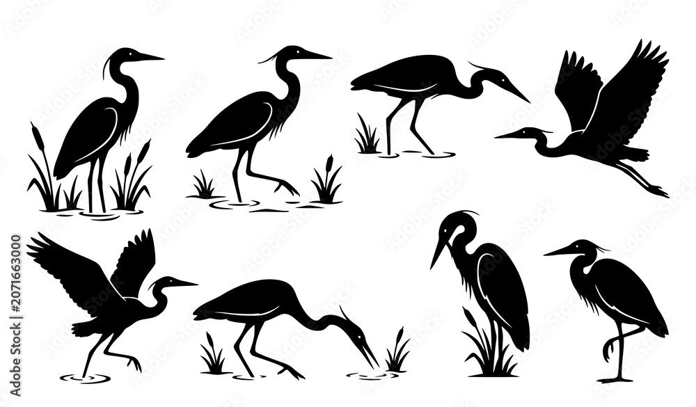 Fototapeta premium Vintage Silhouette Vector Set of Herons and Egrets in Various Poses Flying Standing and Foraging Isolated on White Background Graphic Clipart