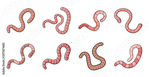 Cartoon worms swimming in water - Playful cartoon worms swimming and floating in clear water, stylized and colorful vector illustration.