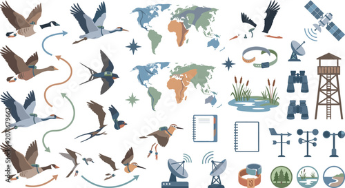 Migratory bird tracking science research and wild animal satellite telemetry flyway conservation map elements vector illustration set