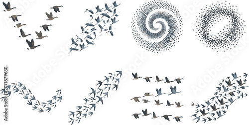 Migrating Birds in Flight Vector Icon Set Showing Flying Flocks forming V Shape Spiral Wave and Arrow Formations for Wild Nature Designs
