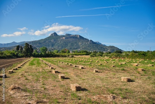 Title: Square straw bales in a harvested field with a mountain background.