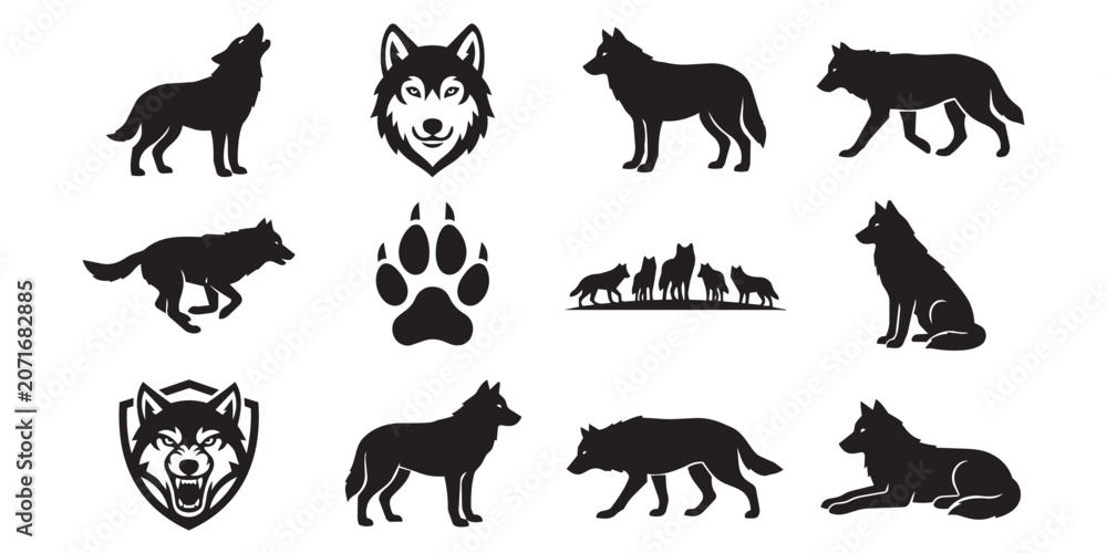Obraz premium Black wolf silhouette set featuring diverse poses headshots howling running stalking pack behavior icons on a white background silhouette wildlife