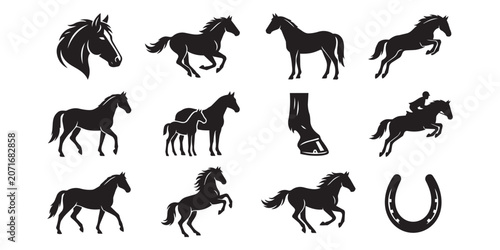 Fotografia Horse silhouette collection featuring equestrian activities and equine symbols f