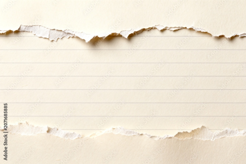 Fototapeta premium Torn lined paper sheet