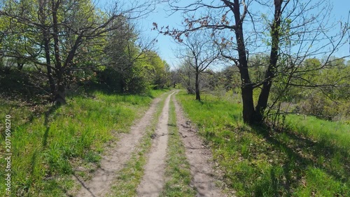 Dirt road through green forest during sunny spring day tracking shot