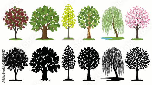 Professional vector collection featuring different park tree designs, city park tree, large shade tree, urban landscape tree, mature leafy tree, public garden tree, decorative recreation area tree