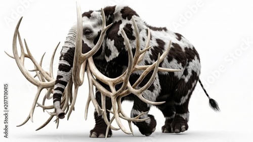 Wooly elephant with branched ivory tusks