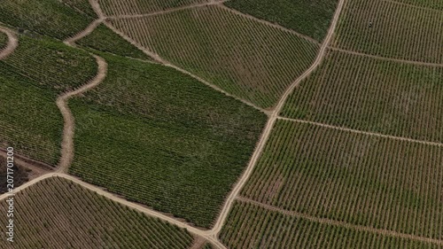Aerial Drone Shot of Expansive Vineyard Plantations in Rural France