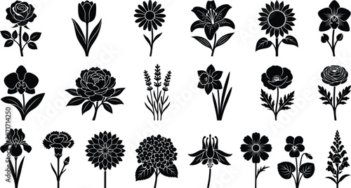 Fotografie Black and white of various types of flowers and plants botany flora