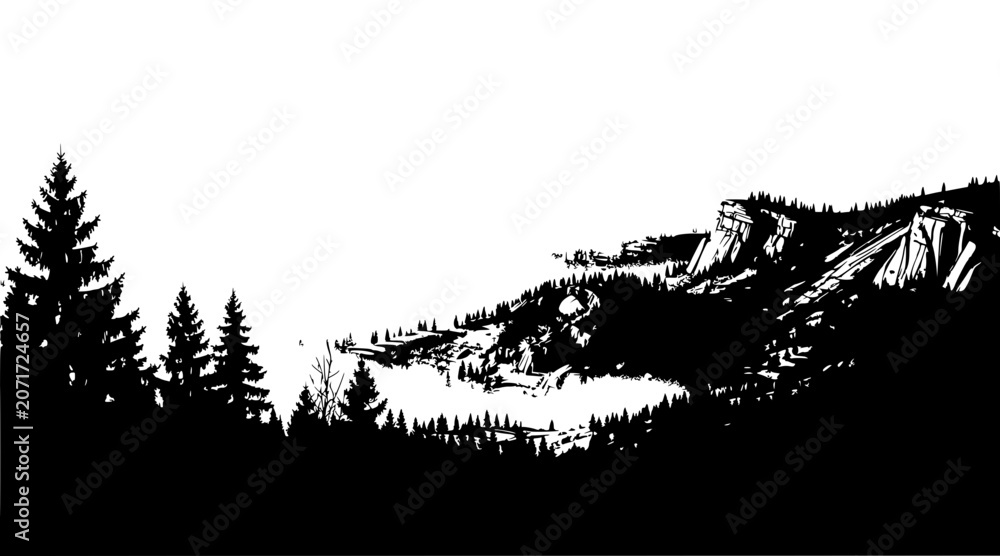 Fototapeta premium black and white mountain landscape with trees