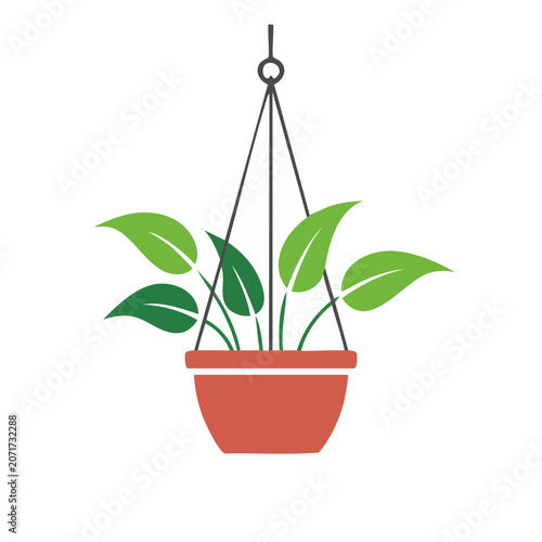 Hanging potted plant with green leaves in terracotta pot