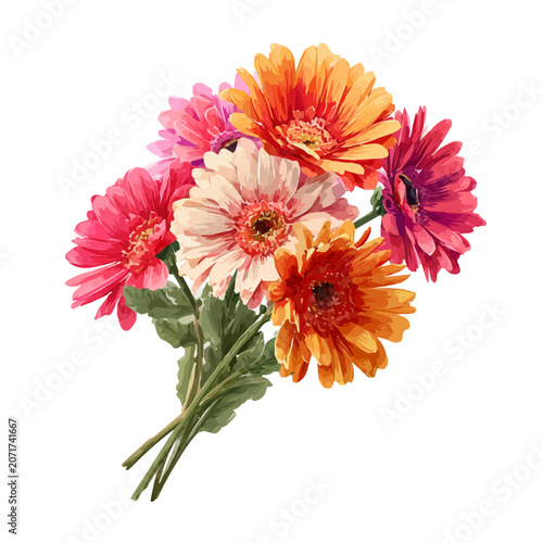 Watercolor illustration of Gerbera Daisy Bouquet, isolated on white background